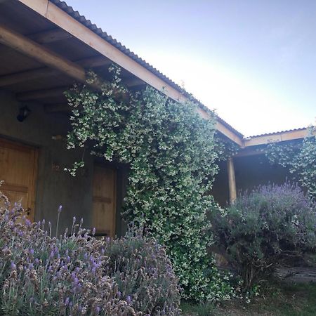 Tikaykilla Lodge & Wines Maipú Exteriér fotografie