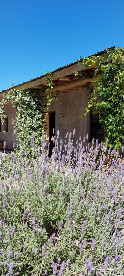 Tikaykilla Lodge & Wines Maipú Exteriér fotografie