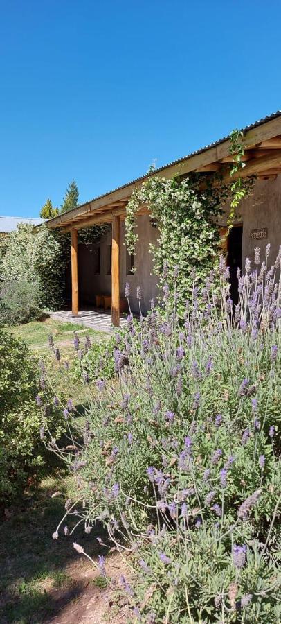 Tikaykilla Lodge & Wines Maipú Exteriér fotografie