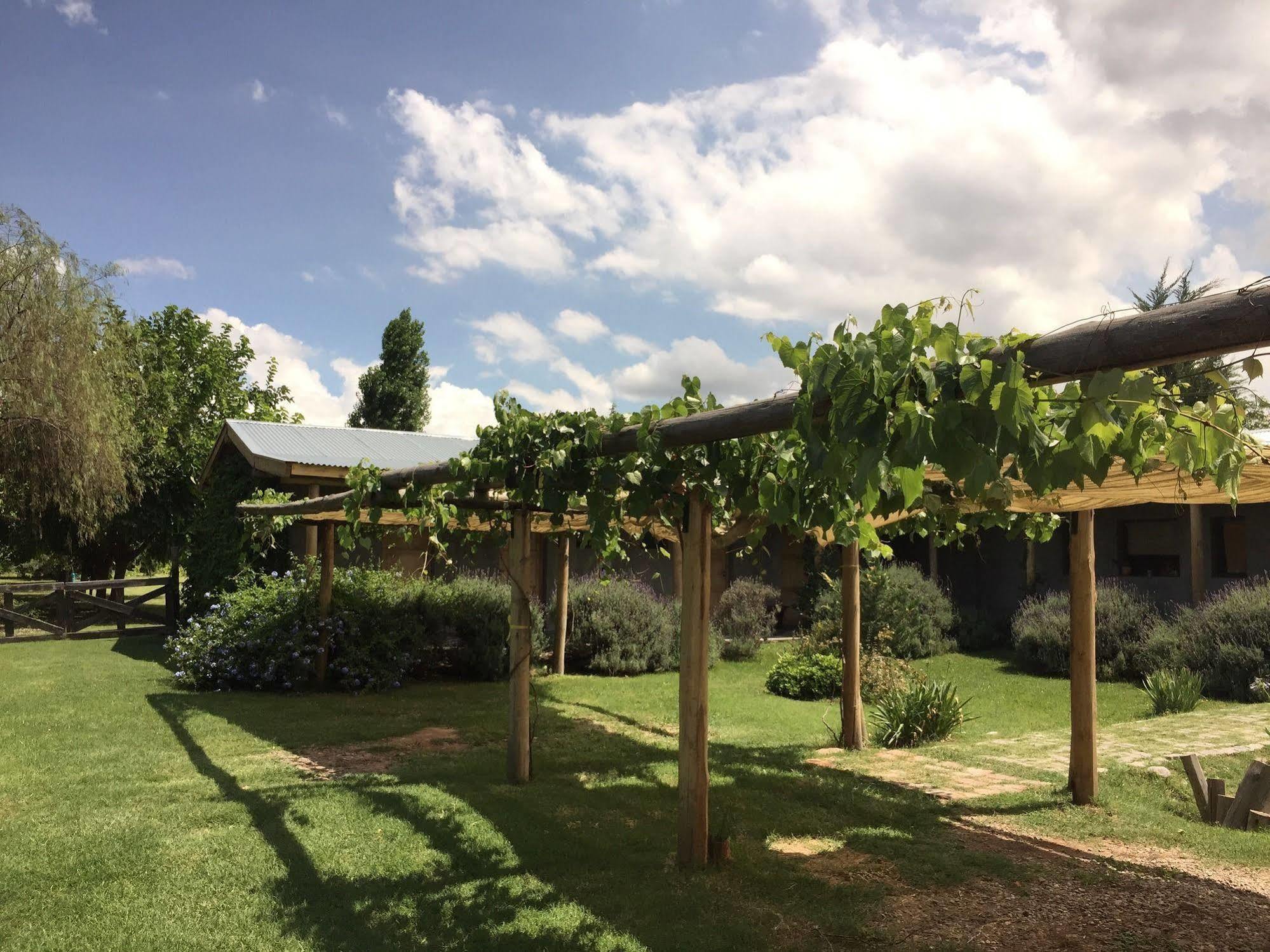 Tikaykilla Lodge & Wines Maipú Exteriér fotografie