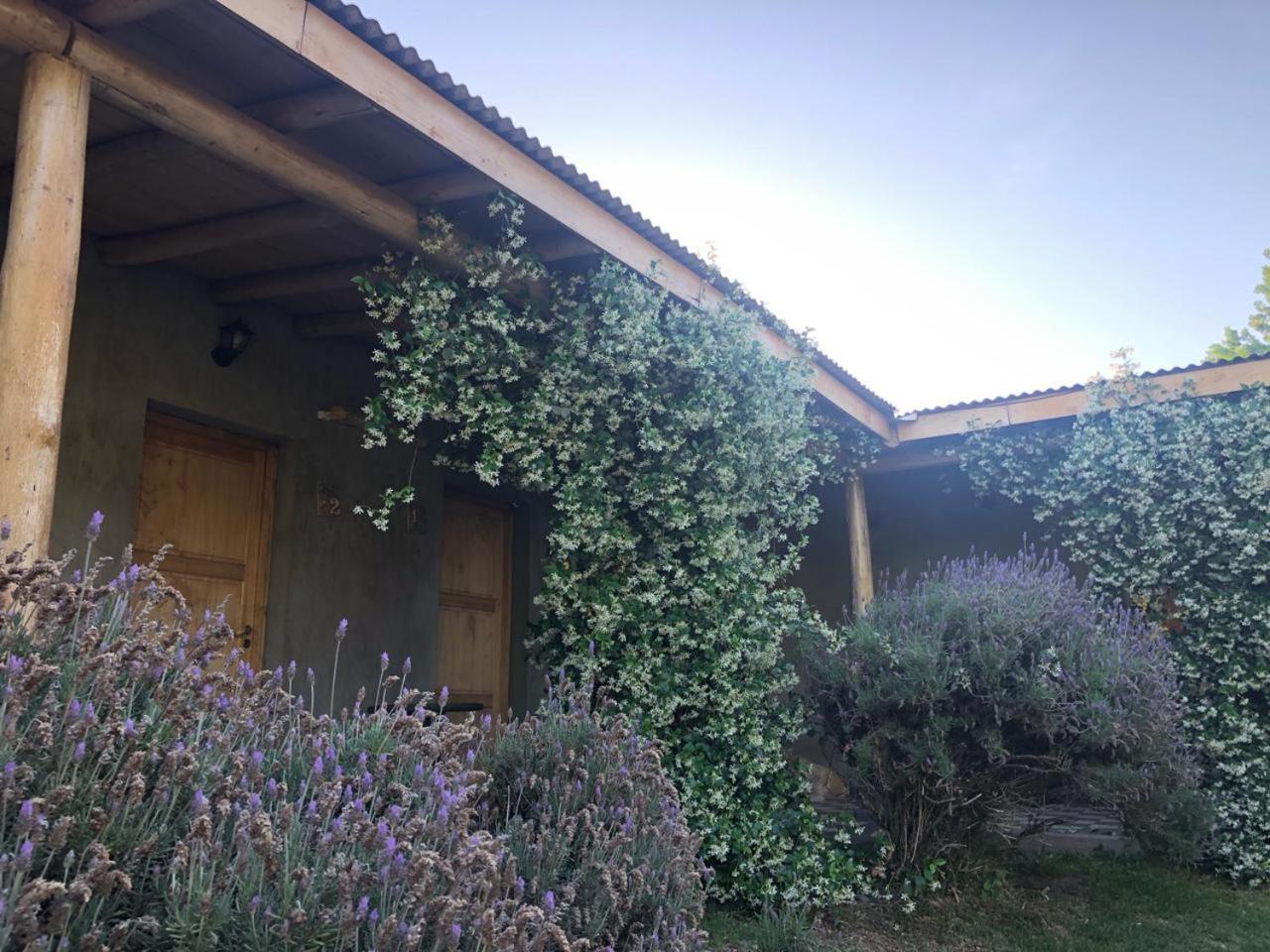 Tikaykilla Lodge & Wines Maipú Exteriér fotografie