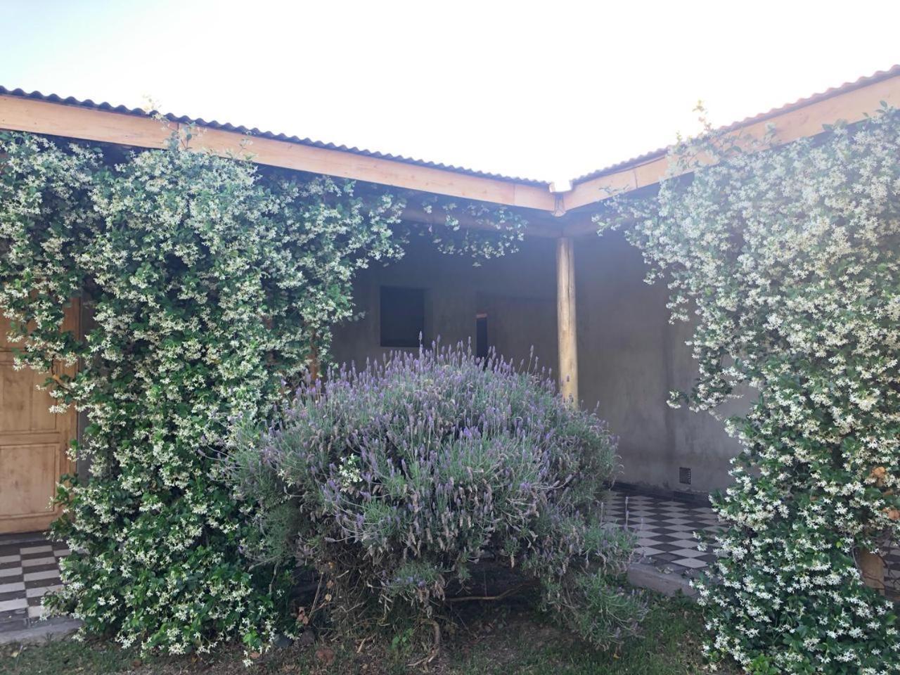 Tikaykilla Lodge & Wines Maipú Exteriér fotografie
